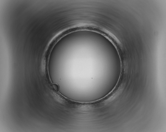 X0000115491021200911131231