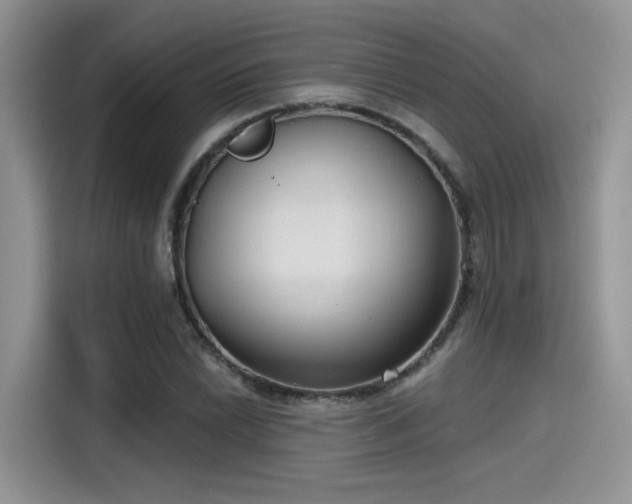 X0000115491022200911131231