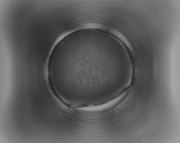 X0000115491024200911131231