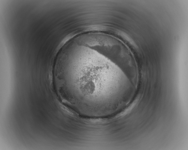 X0000115491025200911131231