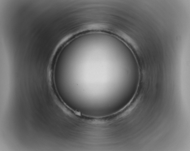 X0000115491029200911131231