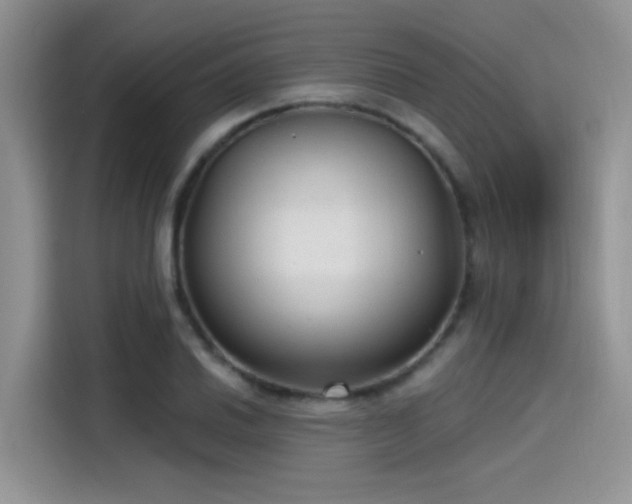 X0000115491030200911131231