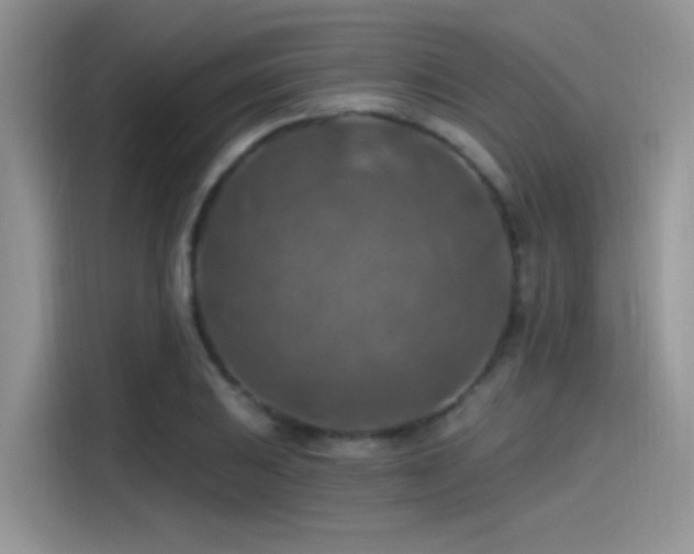 X0000115491031200911131231