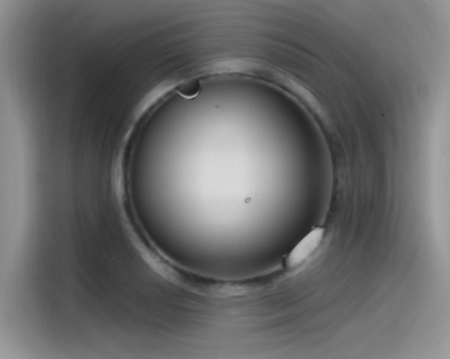 X0000115491034200911131231