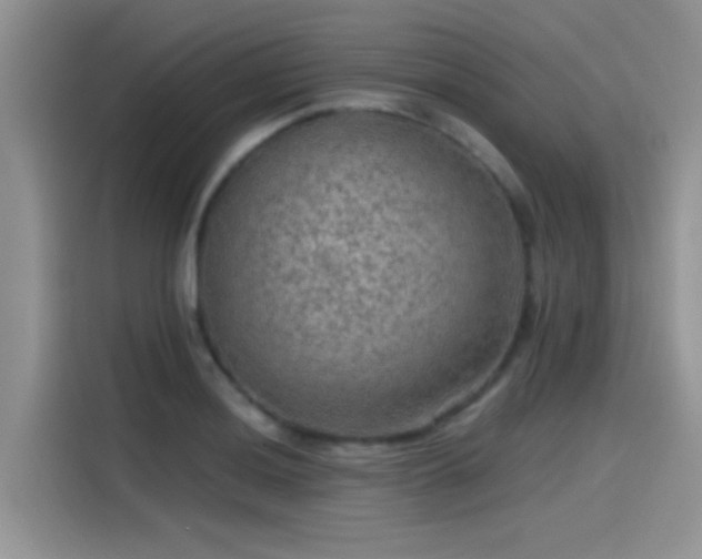 X0000115491036200911131231