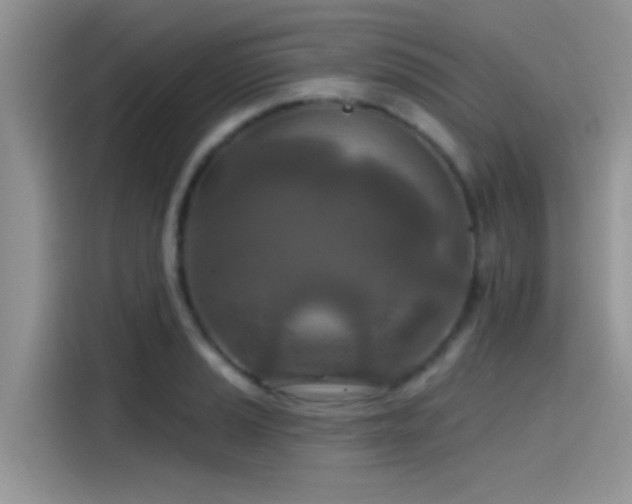 X0000115491037200911131231