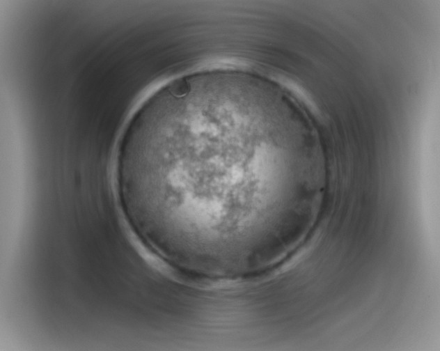 X0000115491038200911131231
