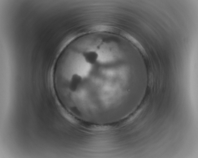 X0000115491039200911131231