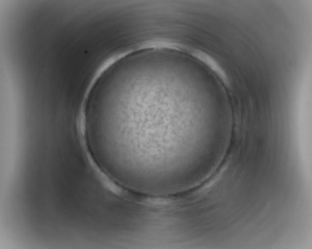 X0000115491040200911131231