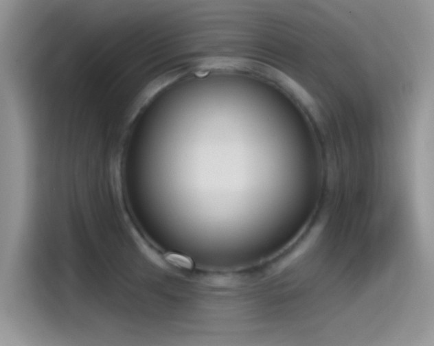 X0000115491041200911131231