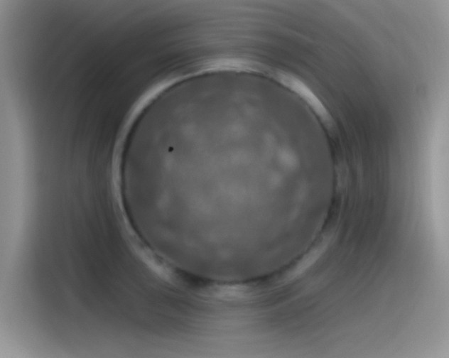 X0000115491043200911131231