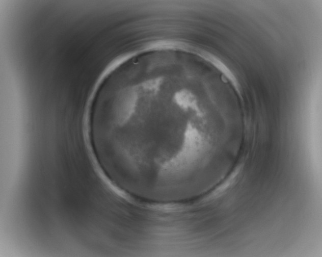 X0000115491045200911131231