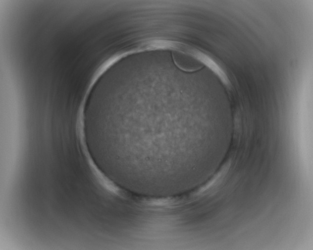 X0000115491047200911131231