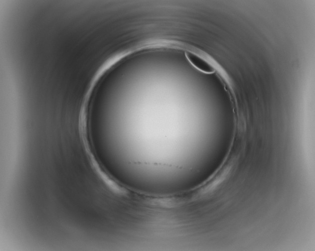X0000115491053200911131232