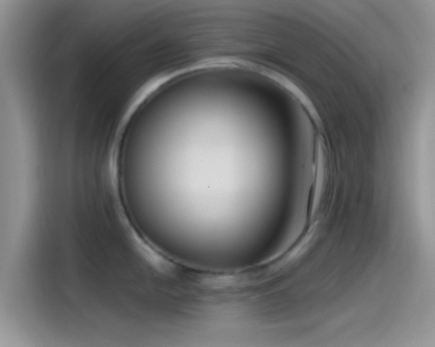 X0000115491054200911131232