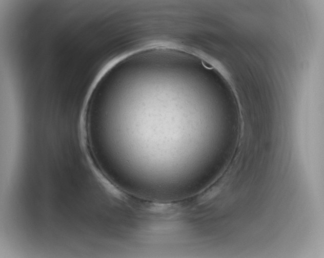 X0000115491056200911131232