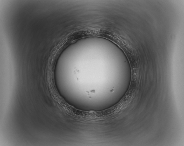 X0000115491057200911131231