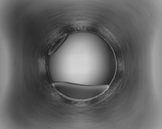 X0000115491060200911131231