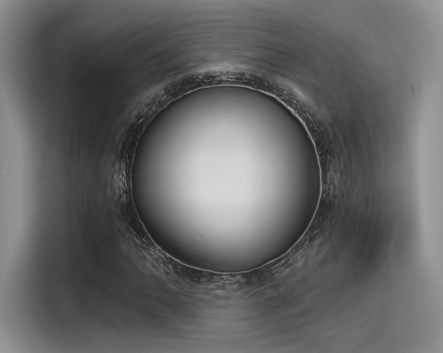 X0000115491062200911131231