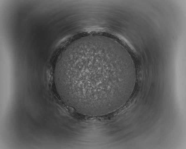X0000115491063200911131231