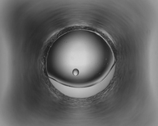 X0000115491064200911131231