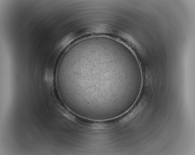 X0000115491065200911131231