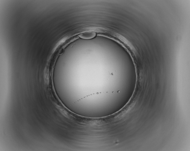 X0000115491067200911131231