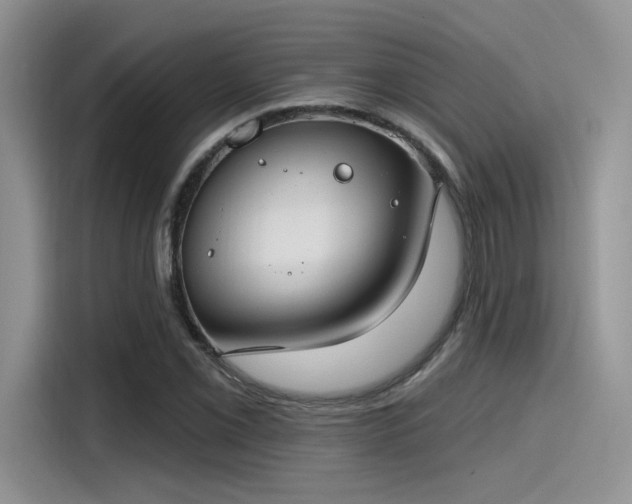 X0000115491069200911131231