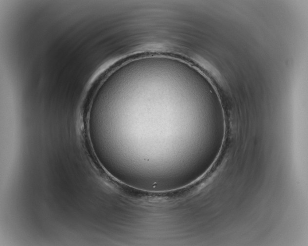 X0000115491070200911131231
