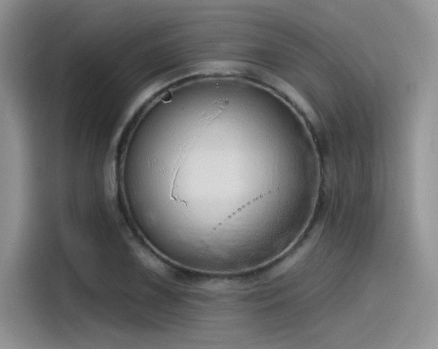 X0000115491075200911131231