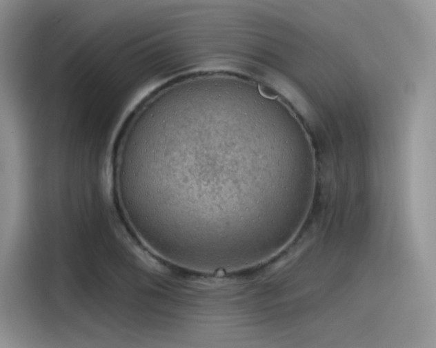 X0000115491076200911131231