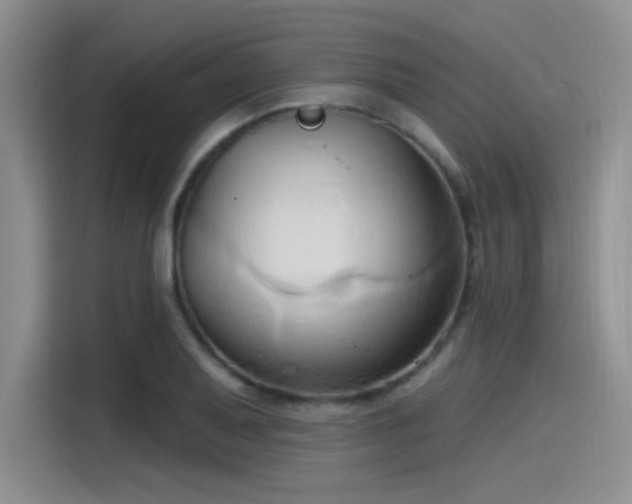 X0000115491079200911131231