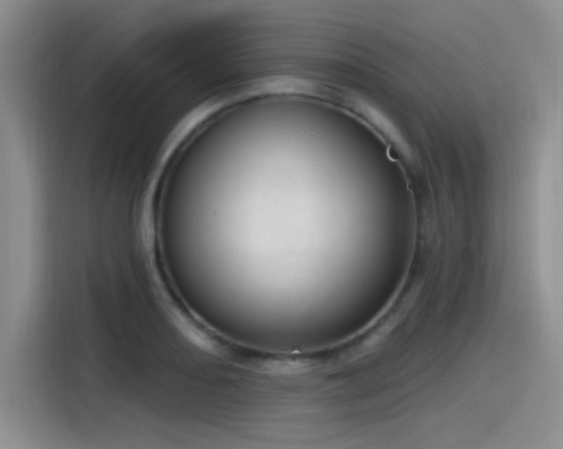 X0000115491082200911131231