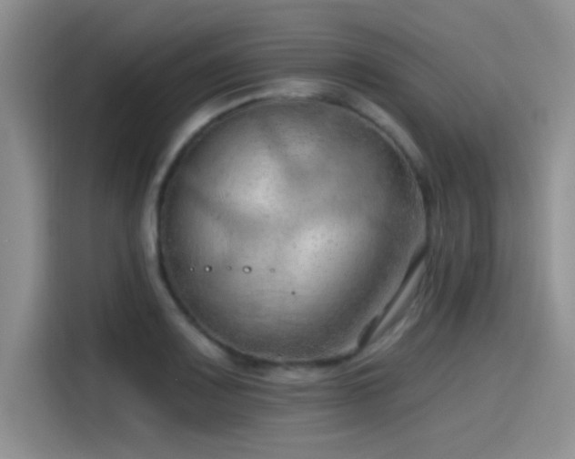 X0000115491083200911131231