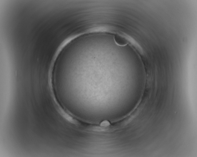 X0000115491086200911131231