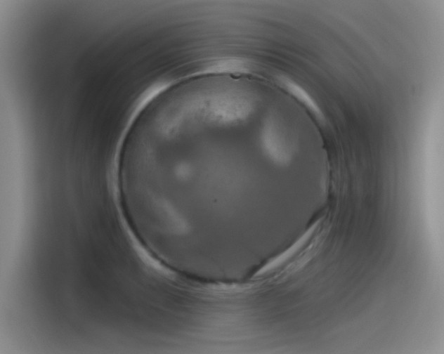 X0000115491087200911131231