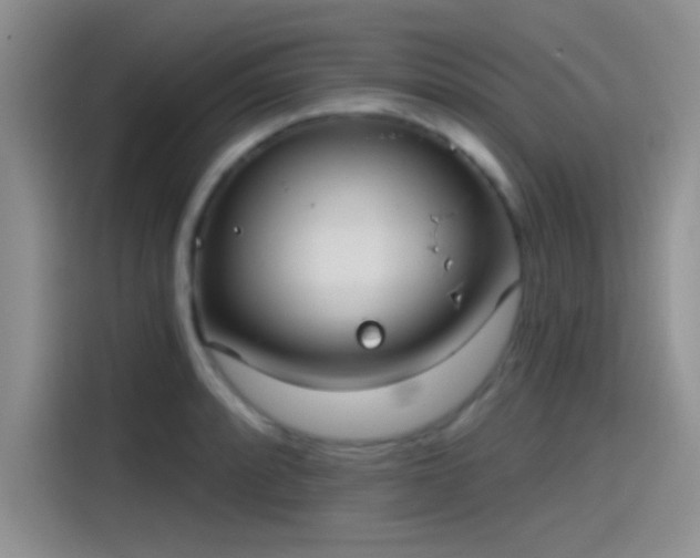 X0000115491088200911131231