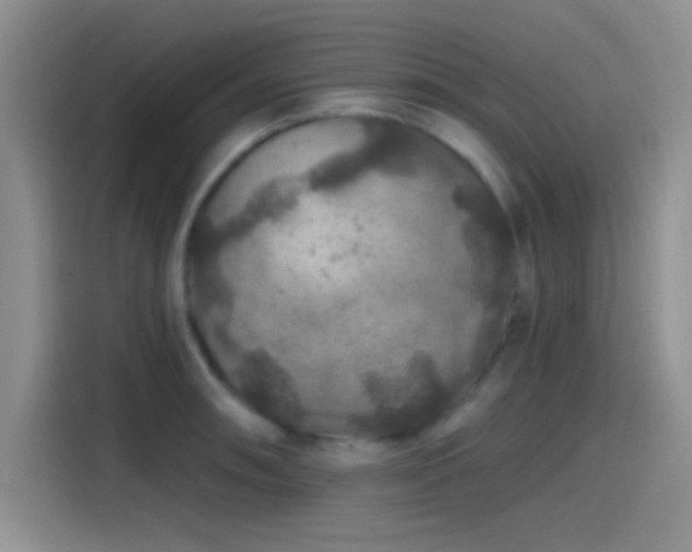 X0000115491090200911131230