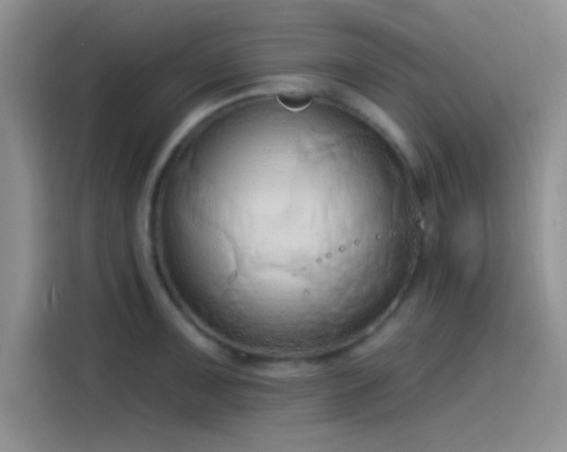 X0000115491091200911131230