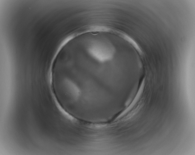 X0000115491095200911131230