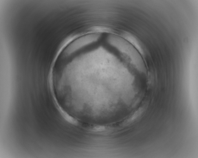 X0000115491098200911131230