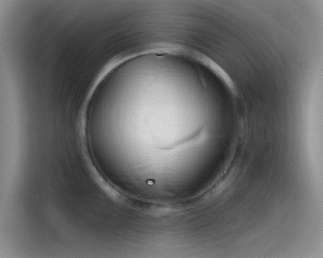 X0000115491099200911131230