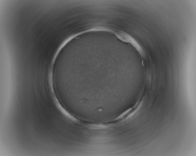 X0000115491100200911131230