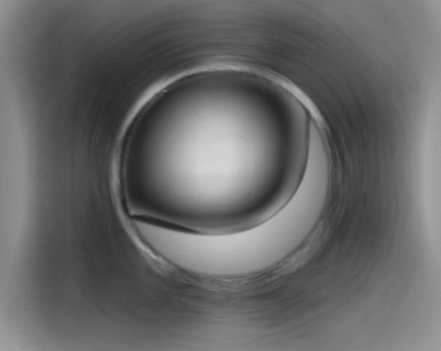 X0000115491101200911131230