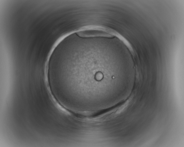 X0000115491102200911131230