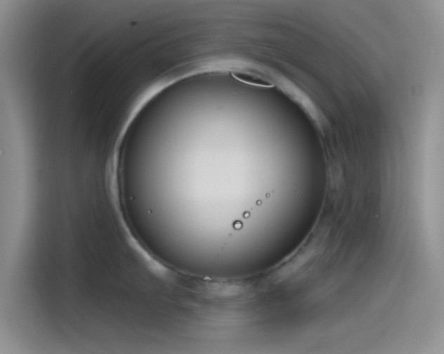X0000115491103200911131230