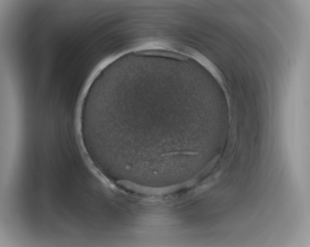 X0000115491104200911131230