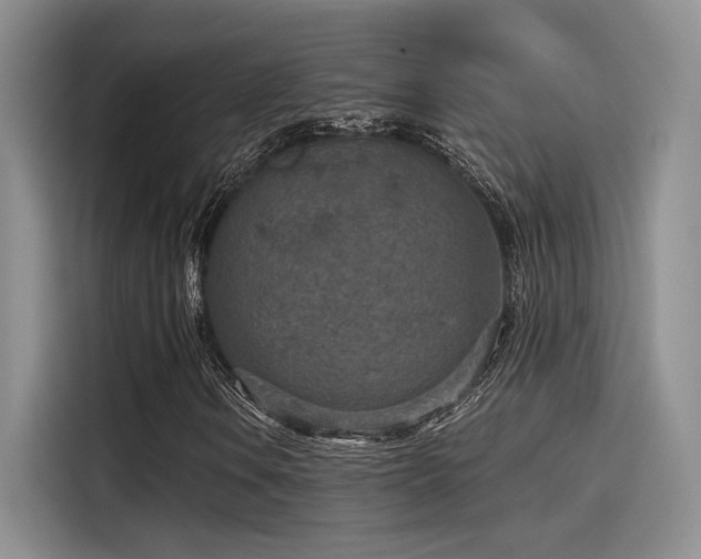 X0000115491106200911131230