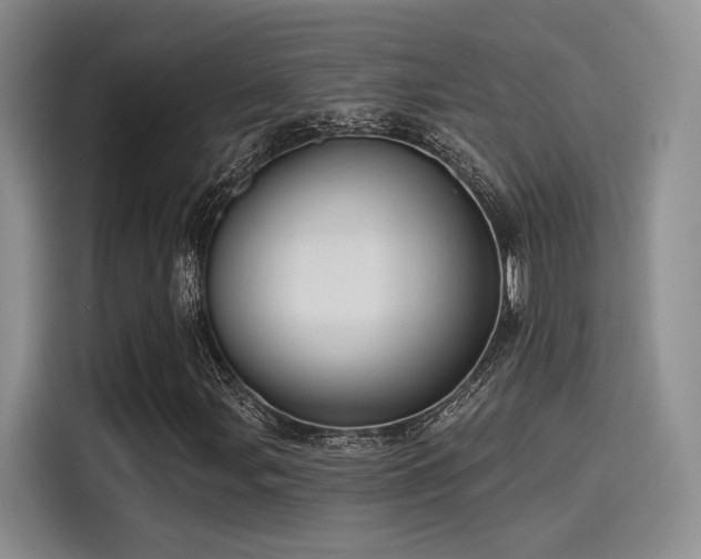 X0000115491107200911131230