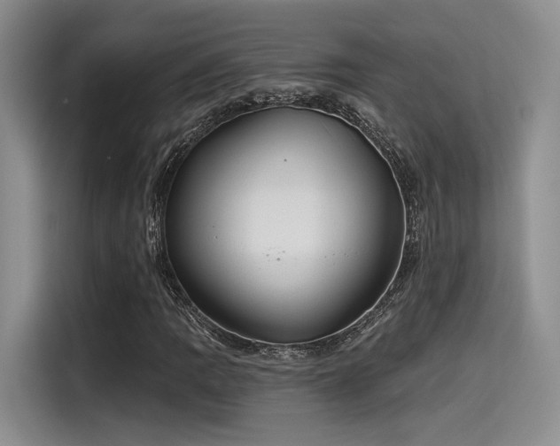 X0000115491109200911131230